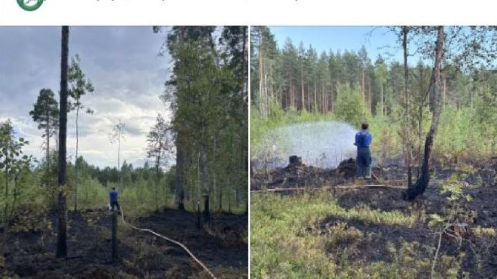 тушат пожар в лесу
