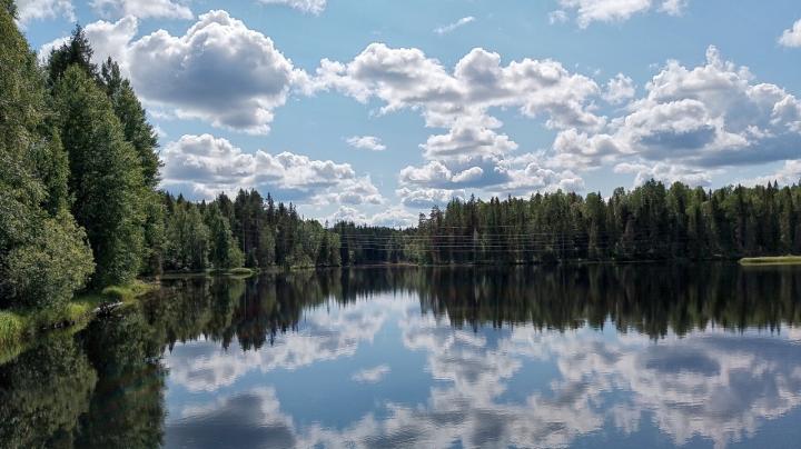 облака отражаются в лесном озере