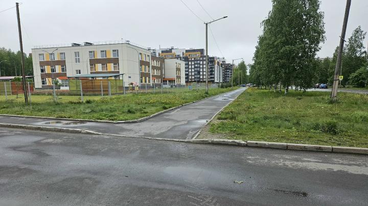 Улица Петрозаводска в пасмурную погоду.
