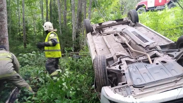 легковой автомобиль в лесу на крыше