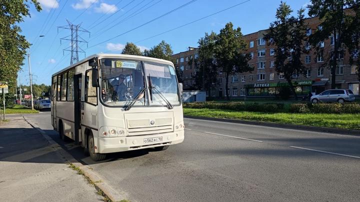 Автобус 19