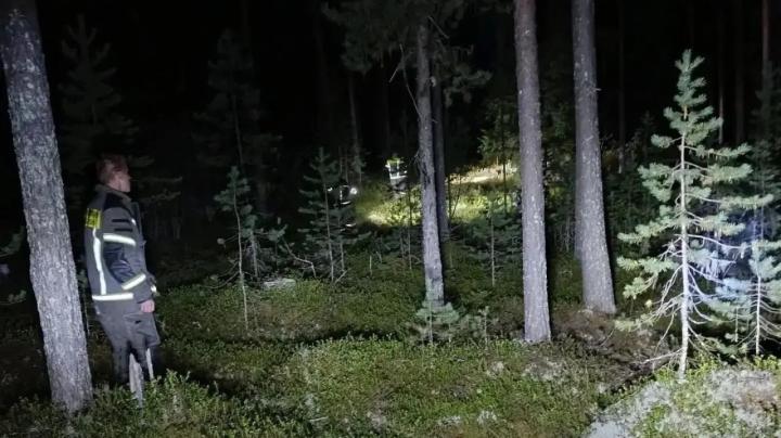 пожарные ночью ищут в лесу заблудившегося человека