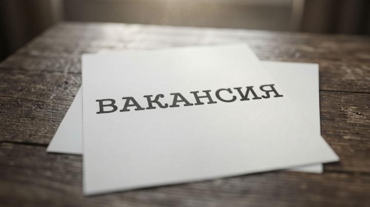 Лист бумаги, на котором написано слово "вакансия"