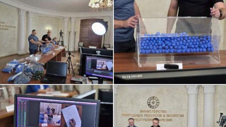 жеребьевка на добычу лося в карелии