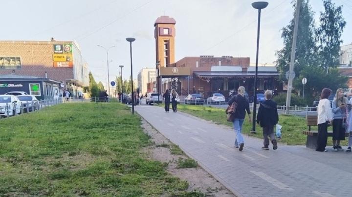 Березовая аллея