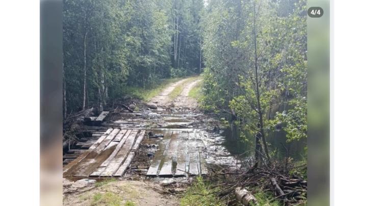 лесная дорога и деревянный настил через реку