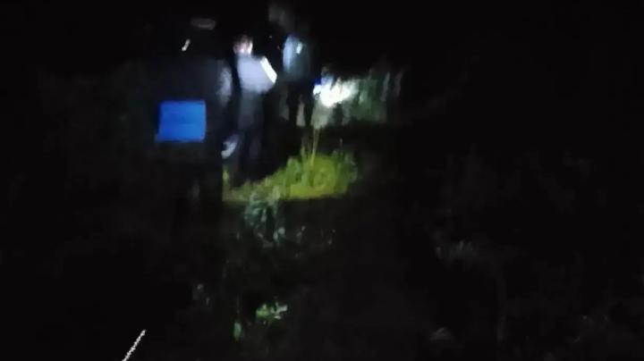 спасатели прочесывают лес
