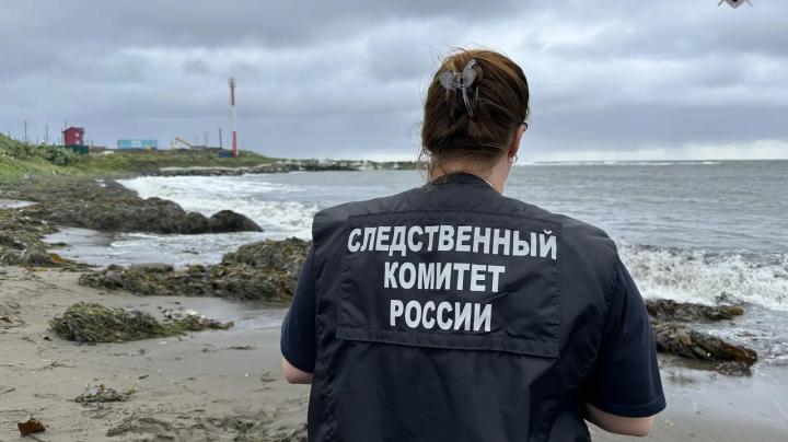 Следователь у моря