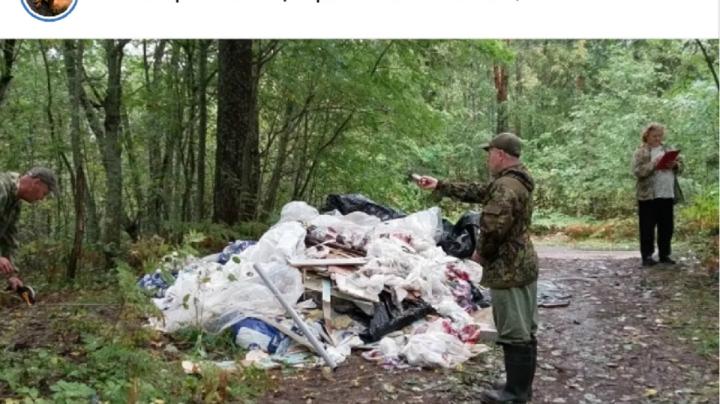 люди стоят у свалки в лесу