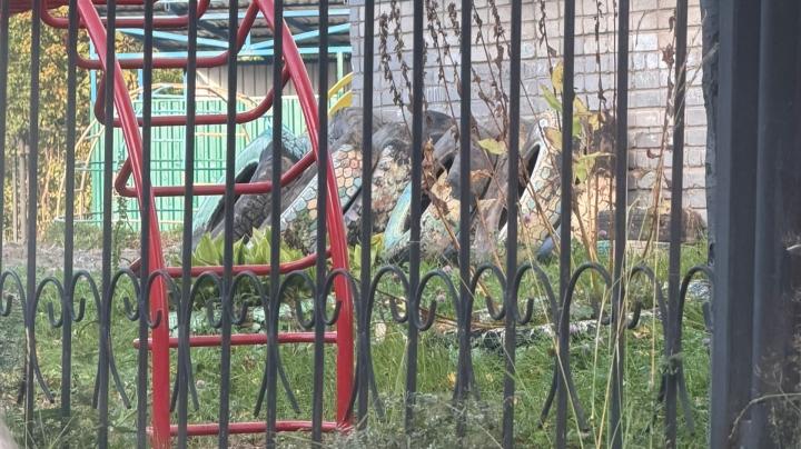 Детский сад в Беломорске
