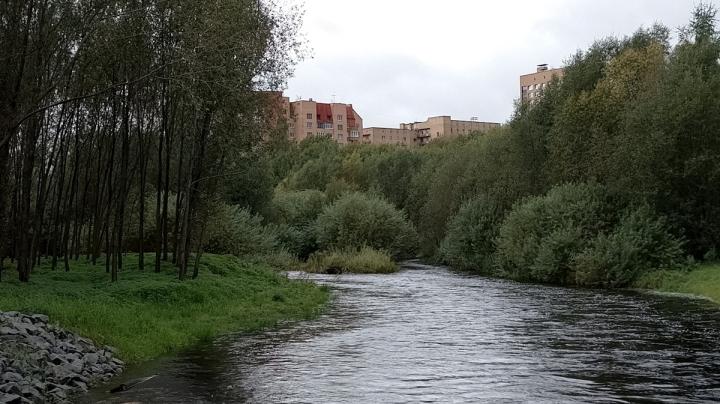 река