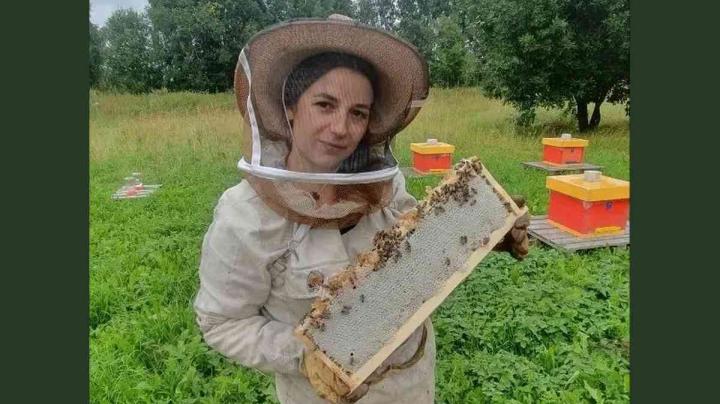 Карельский пчеловод