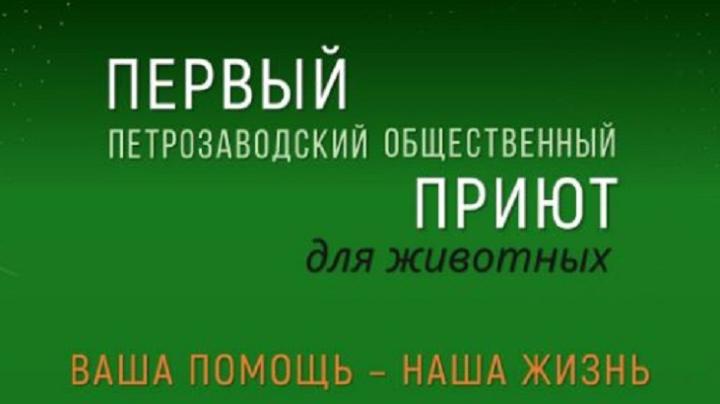 картинка с животными