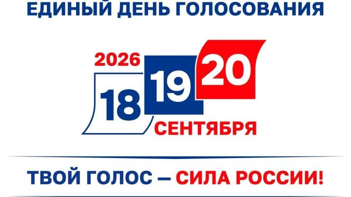Лого Выборы