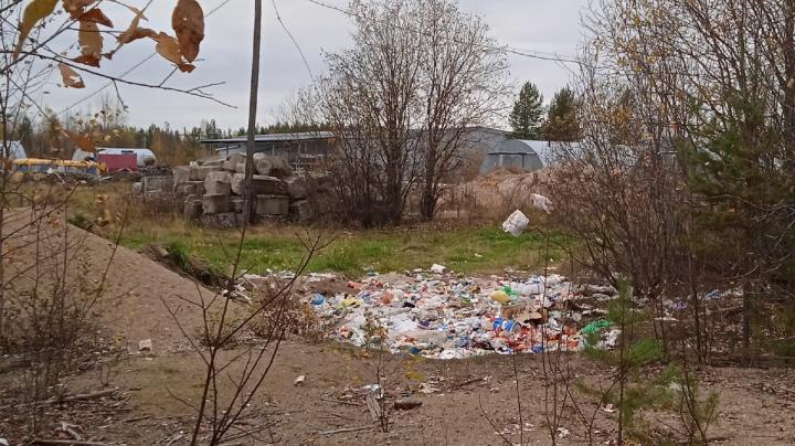 Свалка мусора на окраине Муезерского
