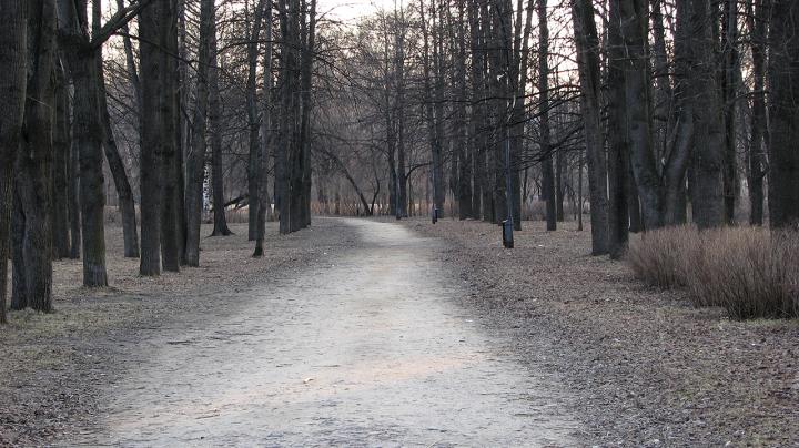 Осенняя аллея в парке.