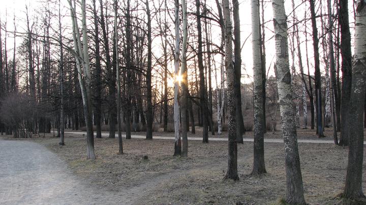 Ноябрьский пейзаж в парке.