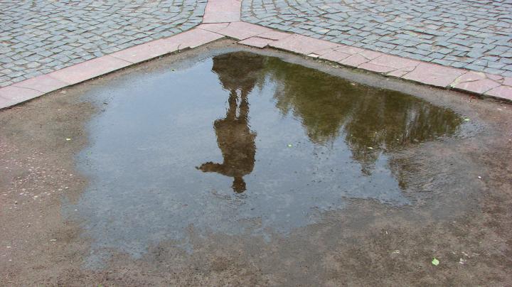 Отражение памятника в луже.