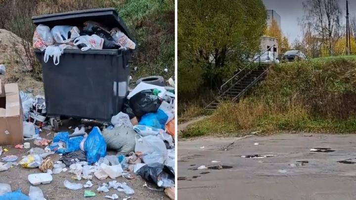 Скрин видео сообщества «СЕГЕЖА ONLINE» 