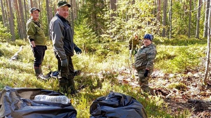 Сотрудники лесничеств убирают незаконные свалки в лесу