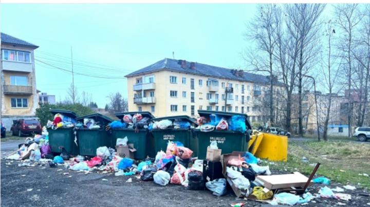 контейнеры мусор