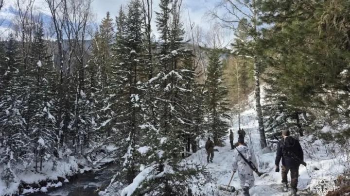 Поиск пропавшего