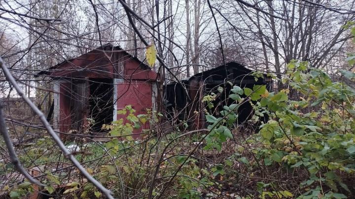 Гаражи под снос