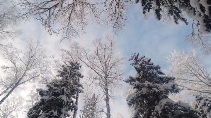 зимнее небо