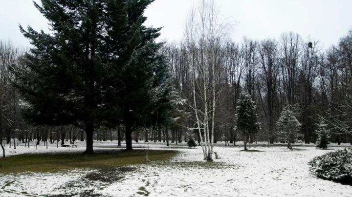 зима