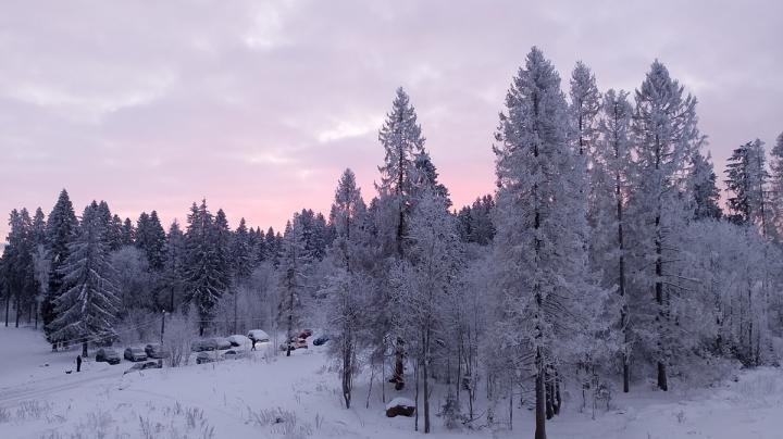 морозный розовый закат