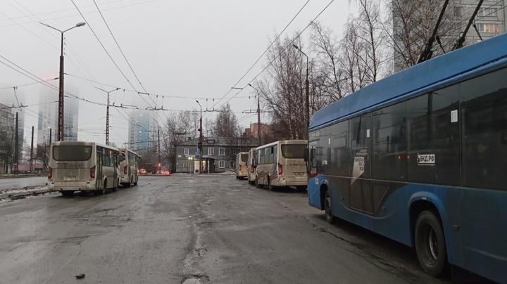 автобусы