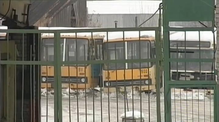 автобусы