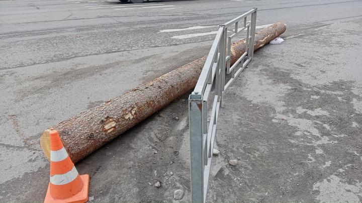 бревно на дороге