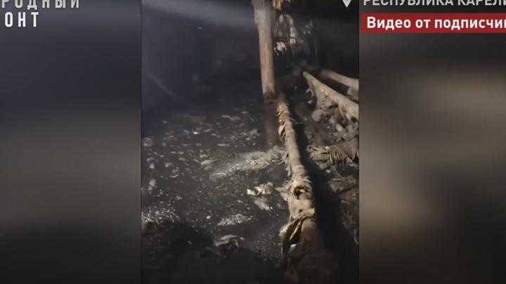 подвал дома