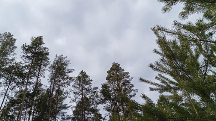 хмурый день
