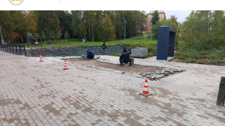 ремонт в парке