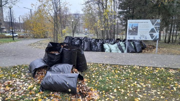 сквер_мешки