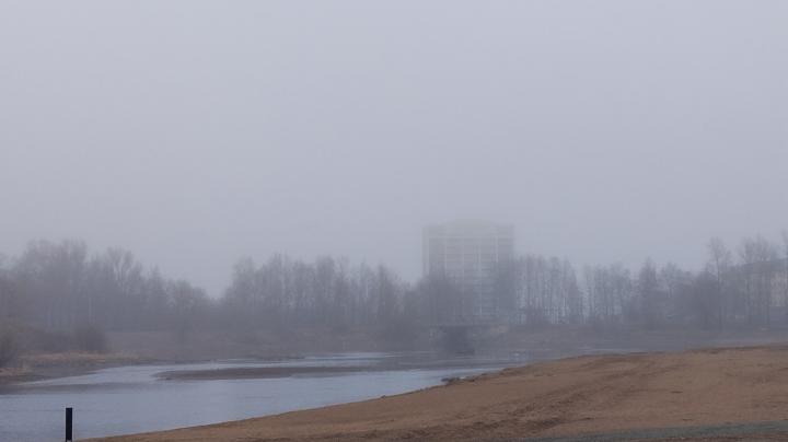 Лососинка