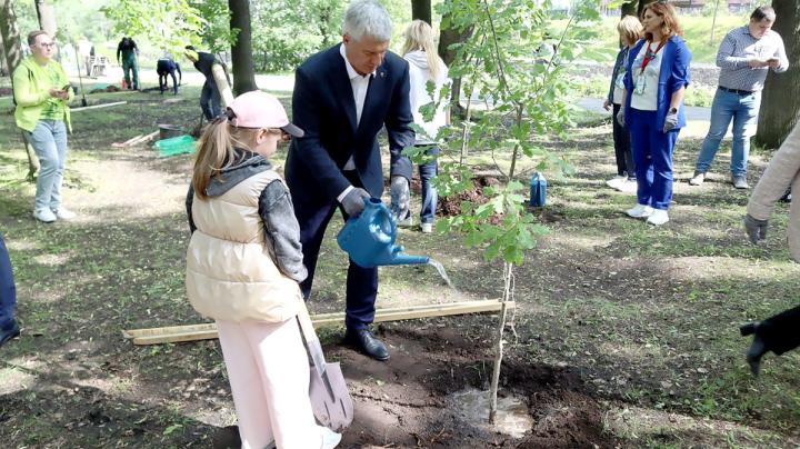 Глава Карелии высаживает деревья в парке.