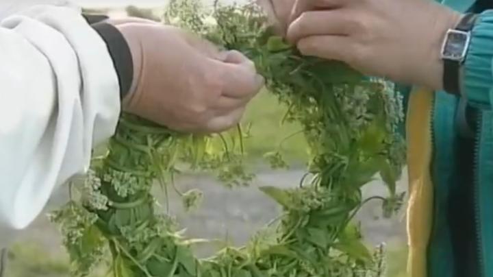 День Ивана Купалы