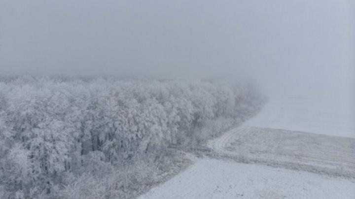 снегопад_снег_зима