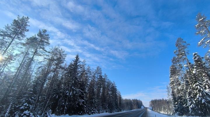 дорога зимой