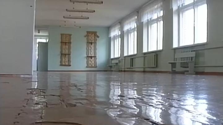 школа