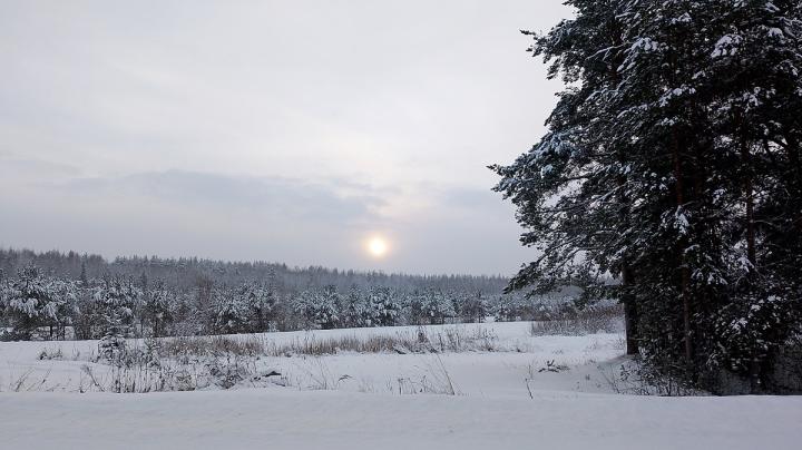 снег_зима_мороз