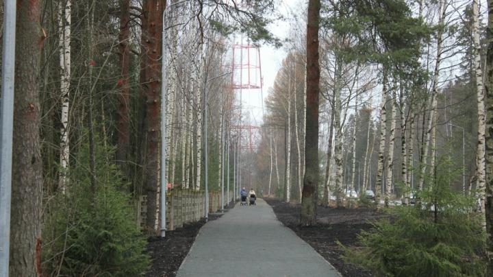 благоустройство_аллея