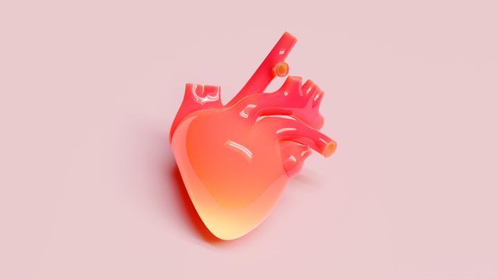 Сердце