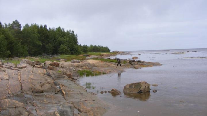 белое_море