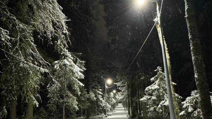 снег_парк_зима_фонарь
