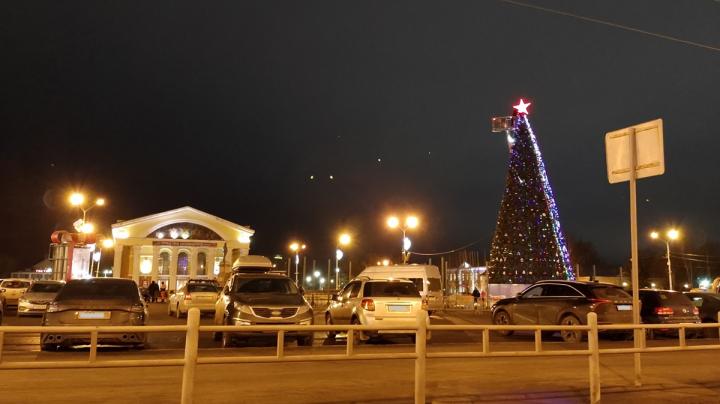новогодняя ель