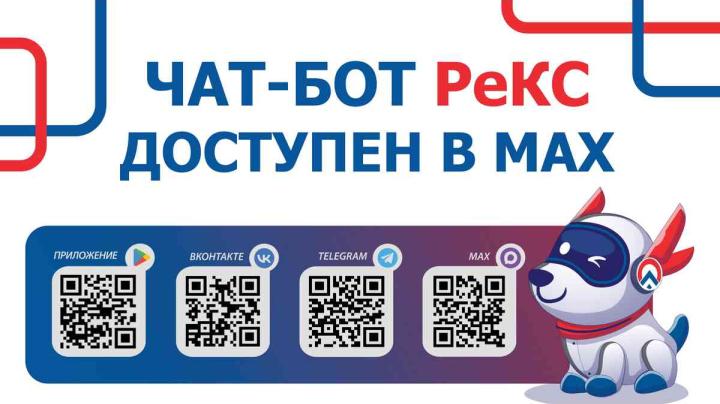 чат бот рекс